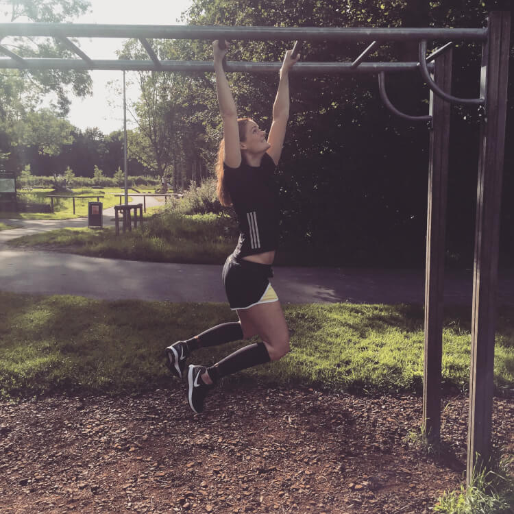 monkey bars
